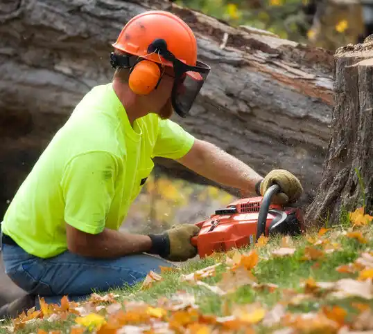 tree services Royal Pines